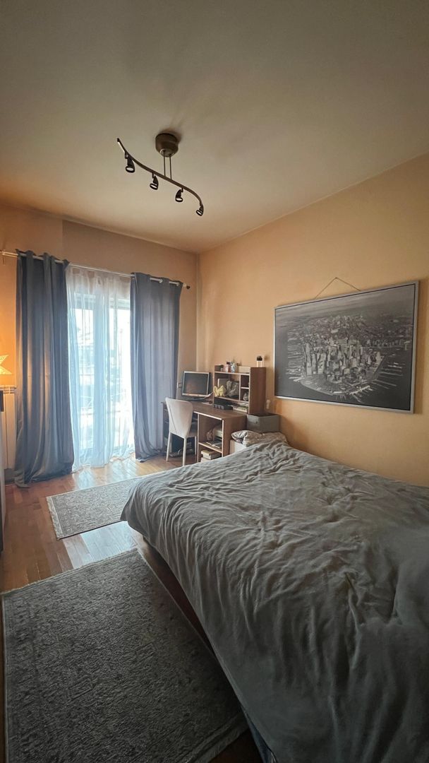 Vila Damaroaia - langa lacul Grivita - Poză 9