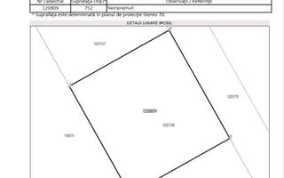 Cobeanca PRIMARIE Ogorului - Loturi 500 - 1100 mp - PRET DE LA 70E/MP - Poză 8