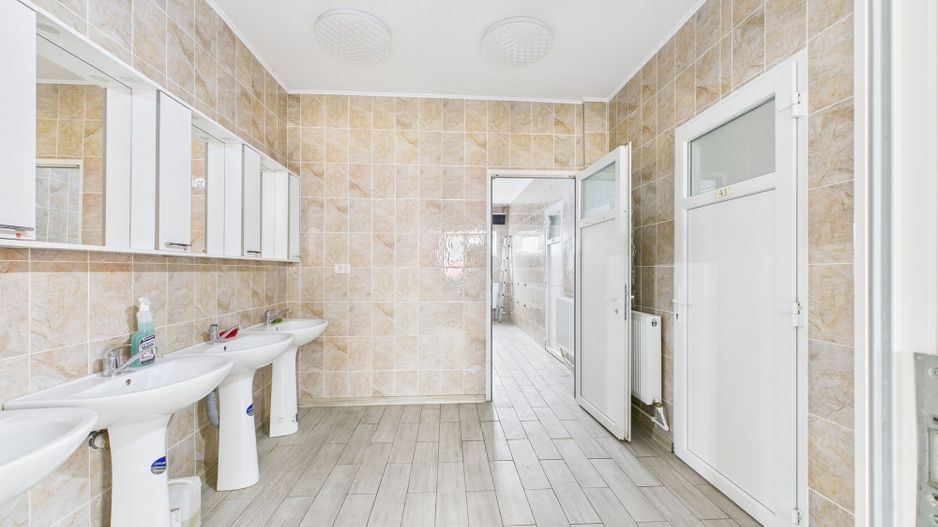 Teren 9.419 mp + hale 7.000 mp – Huși, Vaslui - Poză 12