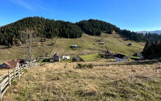 Teren Fundatica intravilan 4500 mp - Poză 9