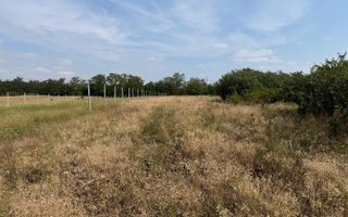 Teren intravilan Miersig, vedere la lac. 12,5 E/mp neg. Comision 0 - Poză 9