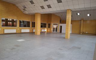 Spatii de inchiriat pentru productie/ industrial, Sibiu - Poză 14
