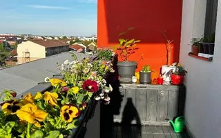Apartament 3 camere Giroc - Poză 14