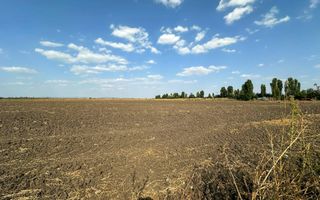 Teren extravilan de vanzare | 9882mp | Berceni - Prahova | Comision 0% - Poză 9