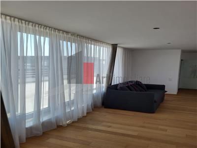 Inchiriere  Vila  Erou  Iancu de Nicolaie - Jolie Ville - Poză 19