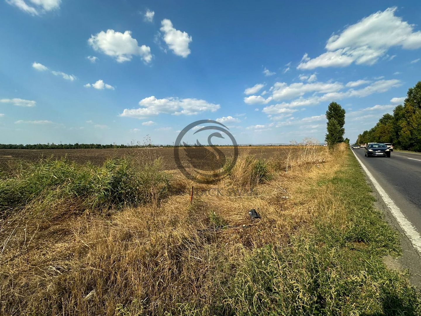 Teren extravilan de vanzare | 9882mp | Berceni - Prahova | Comision 0% - Poză 4
