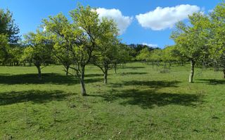 Teren Extravilan I Cisnadie I 3.506 MP - Poză 5