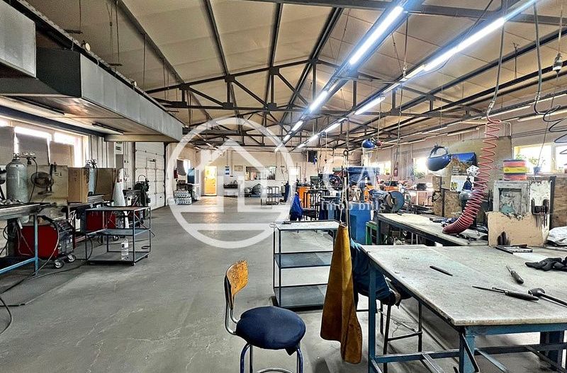 Hală de vânzare în zona industriala Santion, Bihor - Poză 4