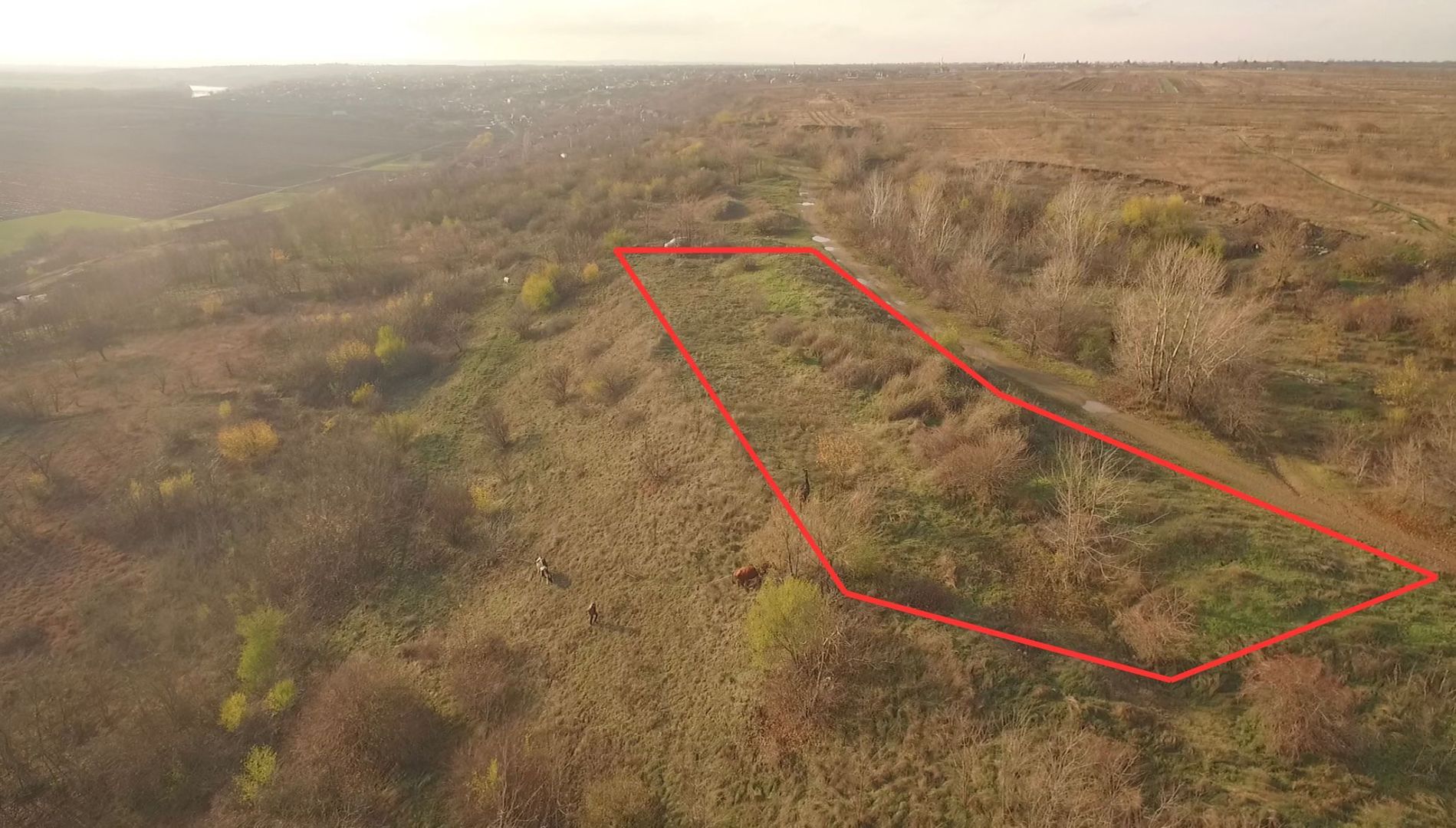 Teren cu destinație agroturistică, 35 ari pe malul Nistrului, Doroțcaia - Poză 6
