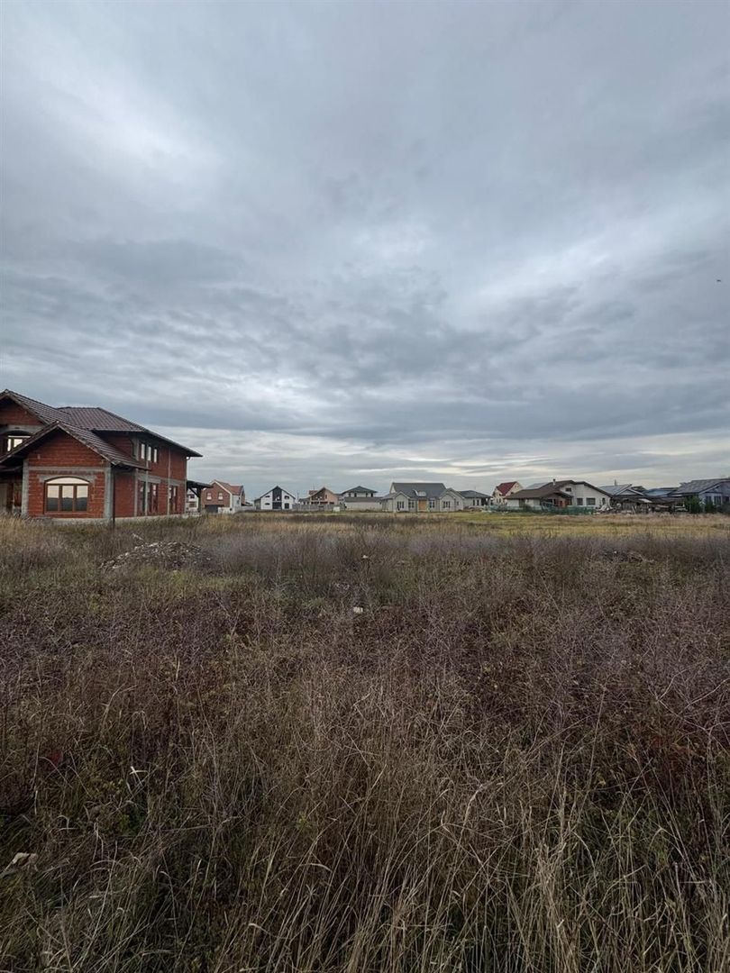 Teren intravilan Sanmartin 720 mpï¿½ - Poză 1