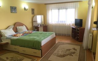 Vila impresionanta in Bucium - Visani - Str. Regina Maria - 2000 mp - Poză 15