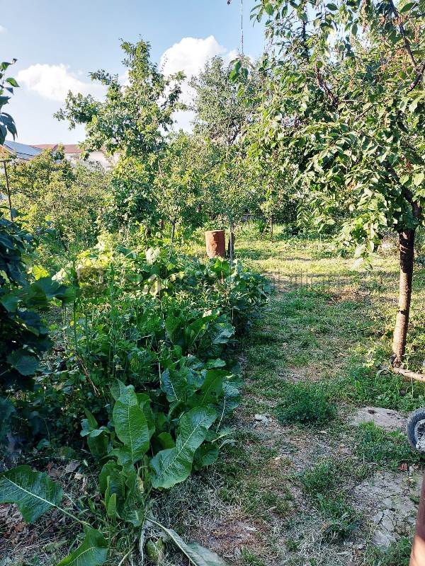 Casa cu 4 camere in Iosia - Poză 15