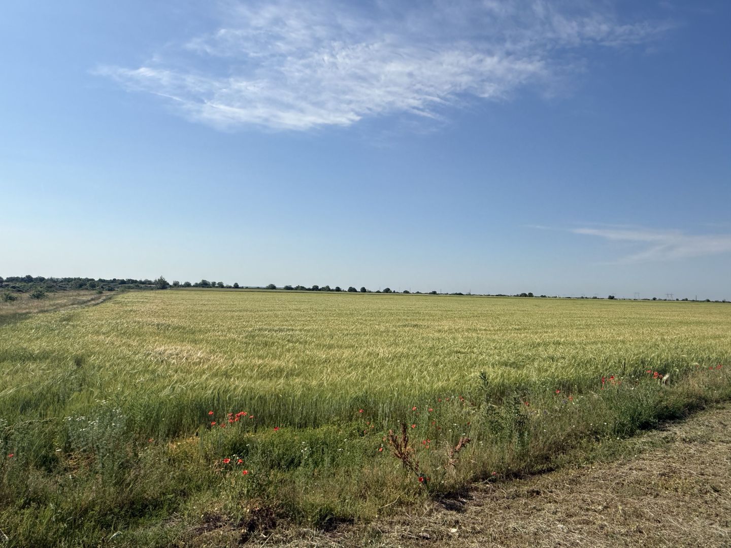 Teren 10 hectare pretabil pt panouri solare-Aricesti Rahtivani - Poză 9