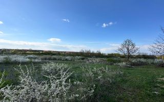 Mogosoaia, teren 792 mp, vedere la lac, utilitati, STB la 750 m (R470) - Poză 2
