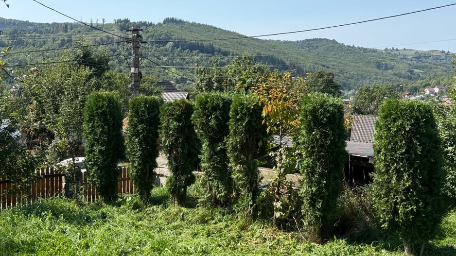 Casă + anexă 280 mp și teren cu dublă deschidere la strada 1500 mp - Poză 54
