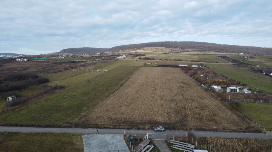 Teren 19.375 mp Dâmbu Rotund. Potențial rezidențial. Extravilan - Poză 10