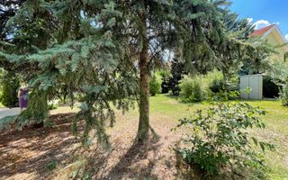 Amazing 6 Rooms Villa // Private Pool // 4 Parking Place / Erou Iancu Nicolae - Poză 52