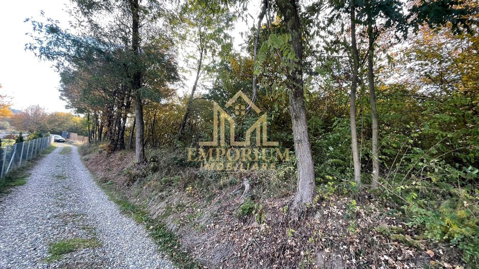 Teren Extravilan, Oportunitate, COMISION 0, Ciurila, Padurea Faget - Poză 1