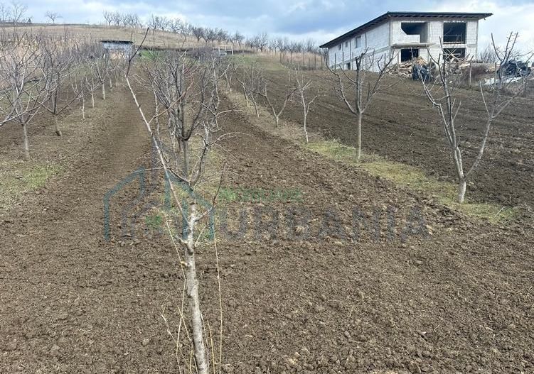 Teren intravilan 1724mp - Poză 1