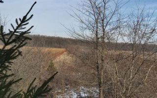 Teren la 35 km de Bucuresti - Izvorani - Ciolpani - Poză 11