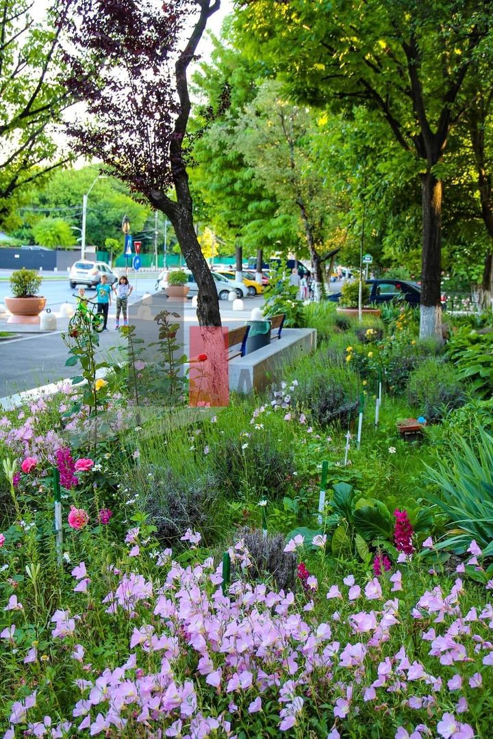 Vanzare 3 camere Berceni Fantana Florilor - Poză 7