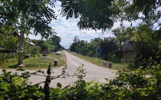 Casă cu teren 5.447 mp și dublu acces | Valea Vinului - Poză 8