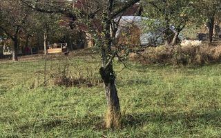 Teren intravilan parcelabil, cartier RAAL , 38 ari - Poză 10