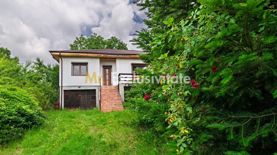 Casa moderna si casa bunicii + 6300 mp teren,Oaza autentica in Corbi Arges- - Poză 3