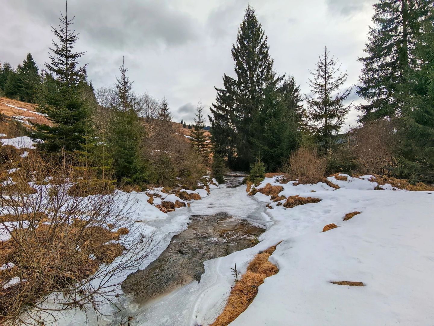 7.858 mp Teren Rar cu Pârâu și Izvoare, Beliș-Fântânele, Cluj - Poză 3