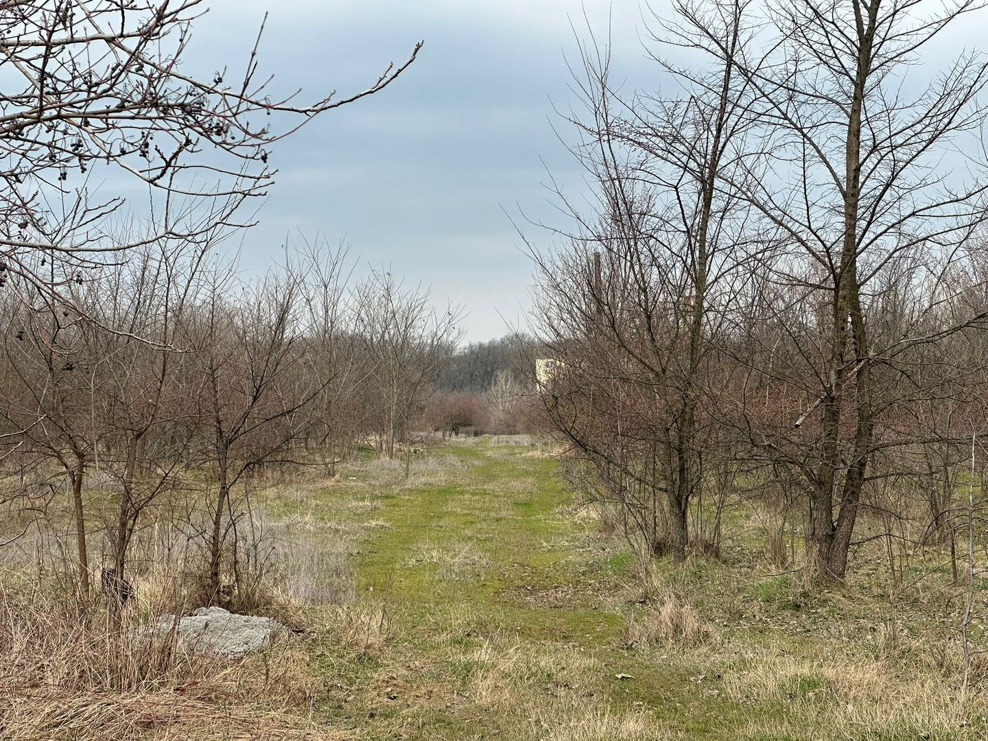 Teren intravilan cu PUZ aprobat 33.683 mp – Săftica/Balotești – deschidere DN1 - Poză 24