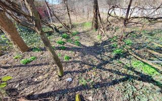 Teren 1426 mp, cu casa demolabila, la asfalt, toate utilitatile - Poză 2