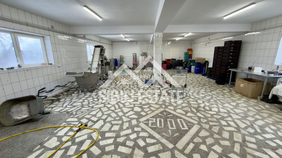 Spatiu productie zona Selimbar, pretabil alimentatie, productie - Poză 1