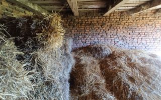 Descoperă căsuța ta de vis la poalele Munților Apuseni - Poză 14