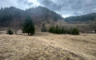 TEREN INTRAVILAN 500 MP SĂTIC- RUCĂR - Poză 11