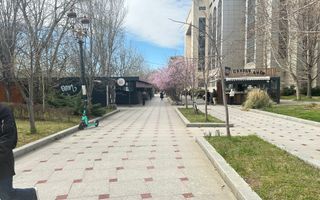 Spatiu comercial NOU vis-a-vis de TRIBUNAL - Poză 3