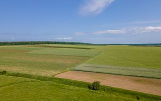Vînzare, teren agricol, 25,3 ha, s. Peresecina, Orhei. - Poză 6