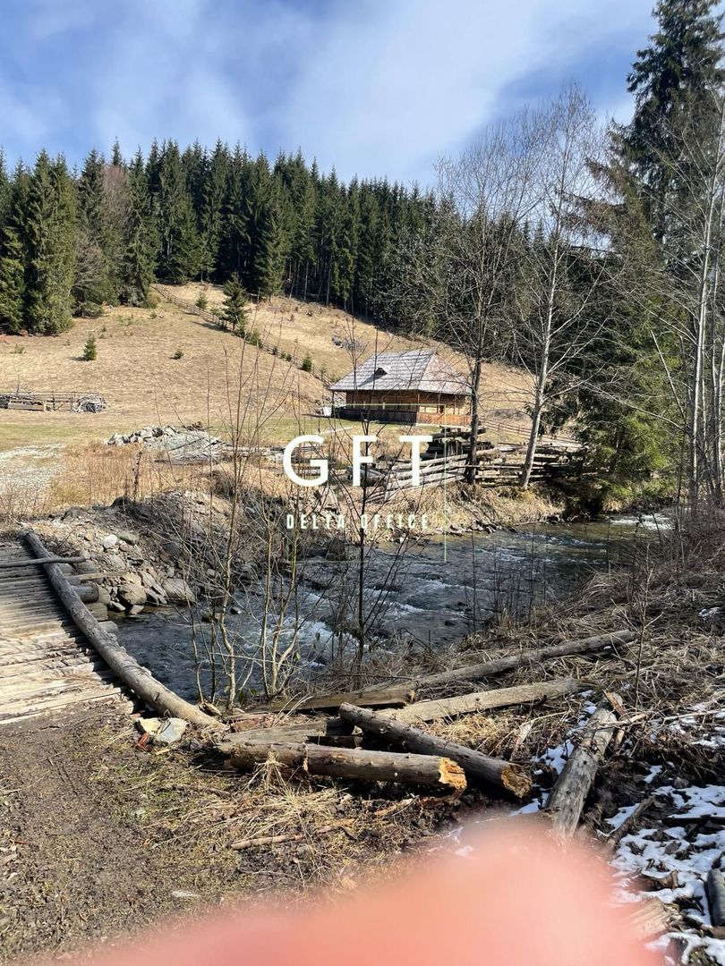 Teren Extravilan, 11731mp,Colibita - Poză 4