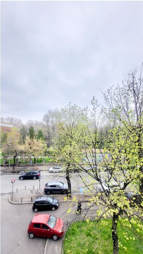 Decomandat | Renovat | Etaj Intermediar | Cismigiu | Fara risc seismic - Poză 11