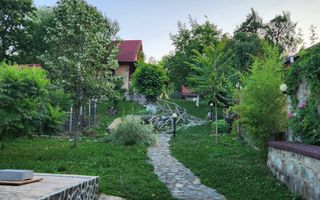 Vila Horezu Romanii de Jos - Poză 17