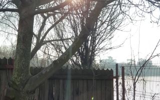 Teren superb rezidential, pe malul lacului Pipera - Poză 7