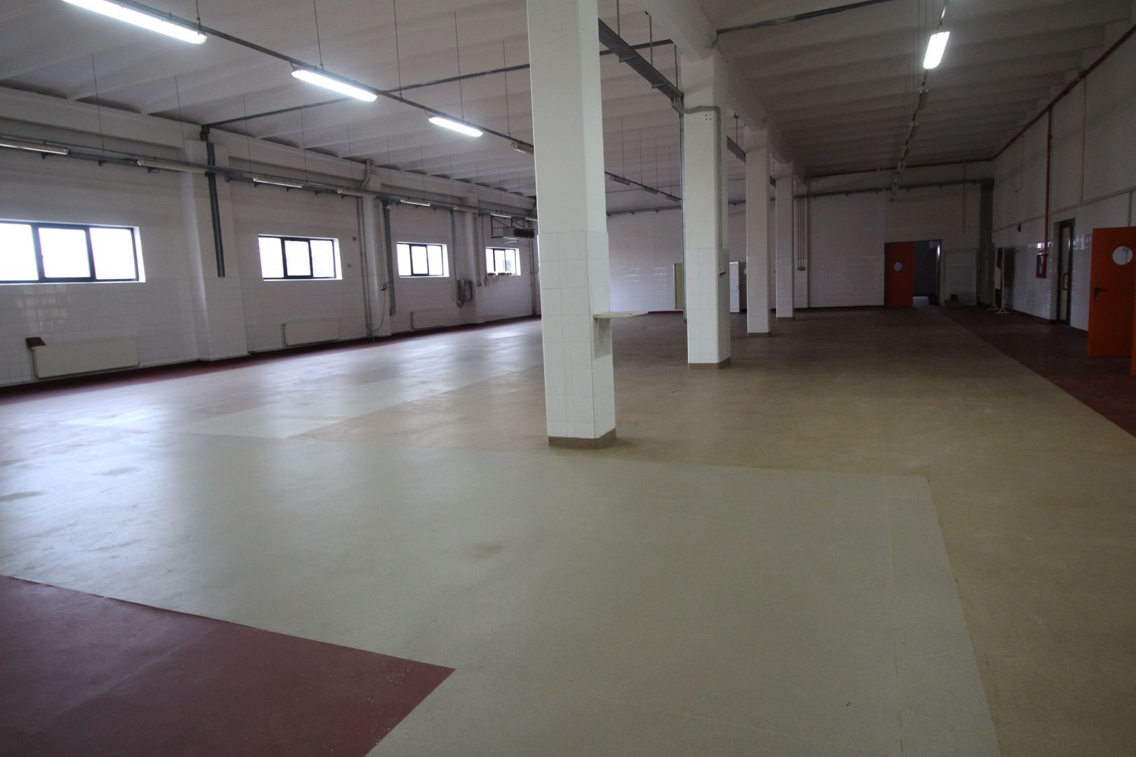 Hala productie    - Calea Torontalului de vanzare - Poză 4