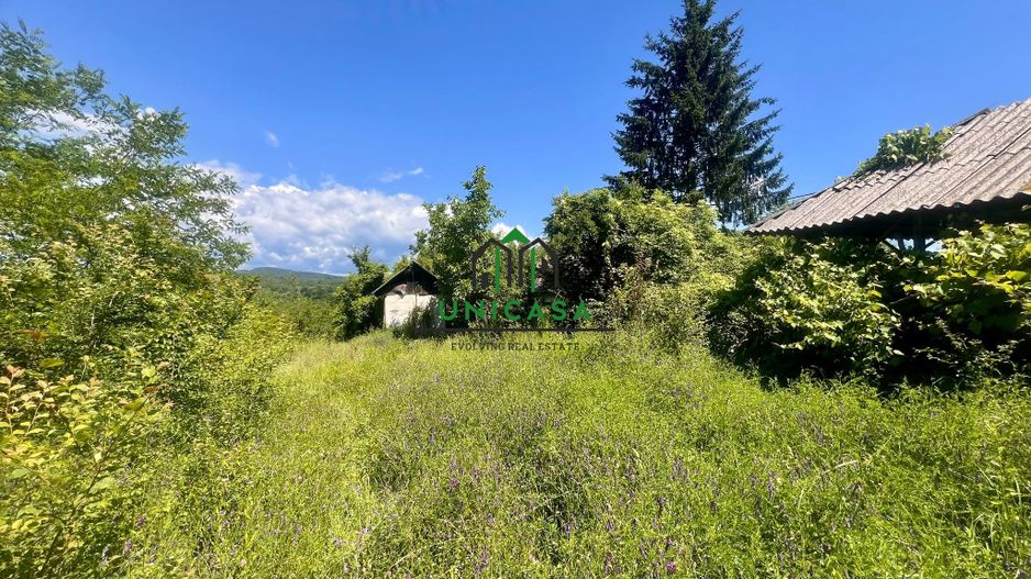 Teren intravilan de vânzare/Ocnele Mari/8.300 mp - Poză 2