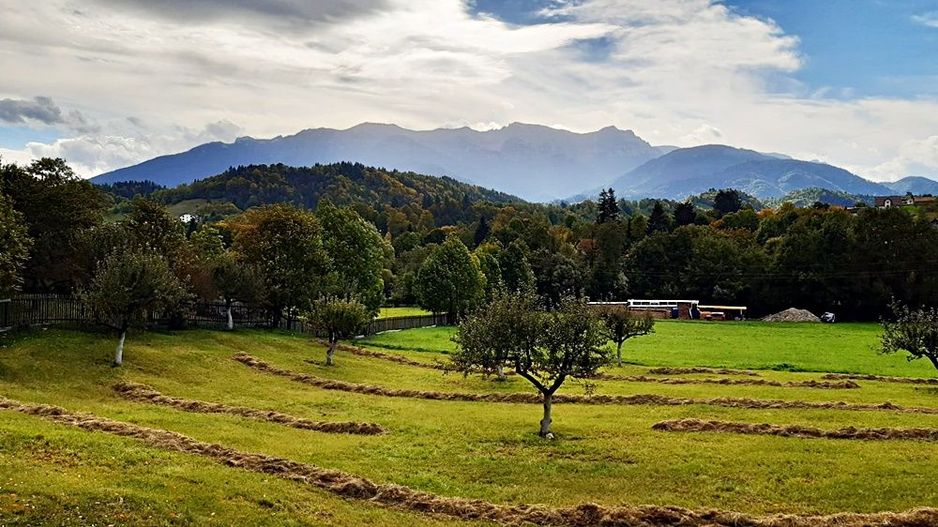 Teren superb de 16240mp, parcelabil, in Bran la intrare in Moeciu de Jos - Poză 9