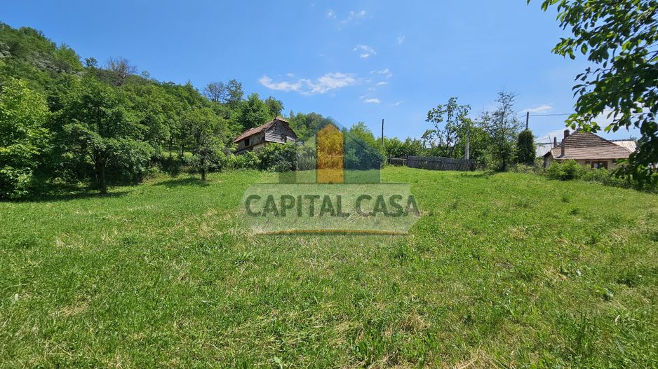 Teren de Vanzare in Plopu - Darmanesti, cu toate utilitatile - Poză 4