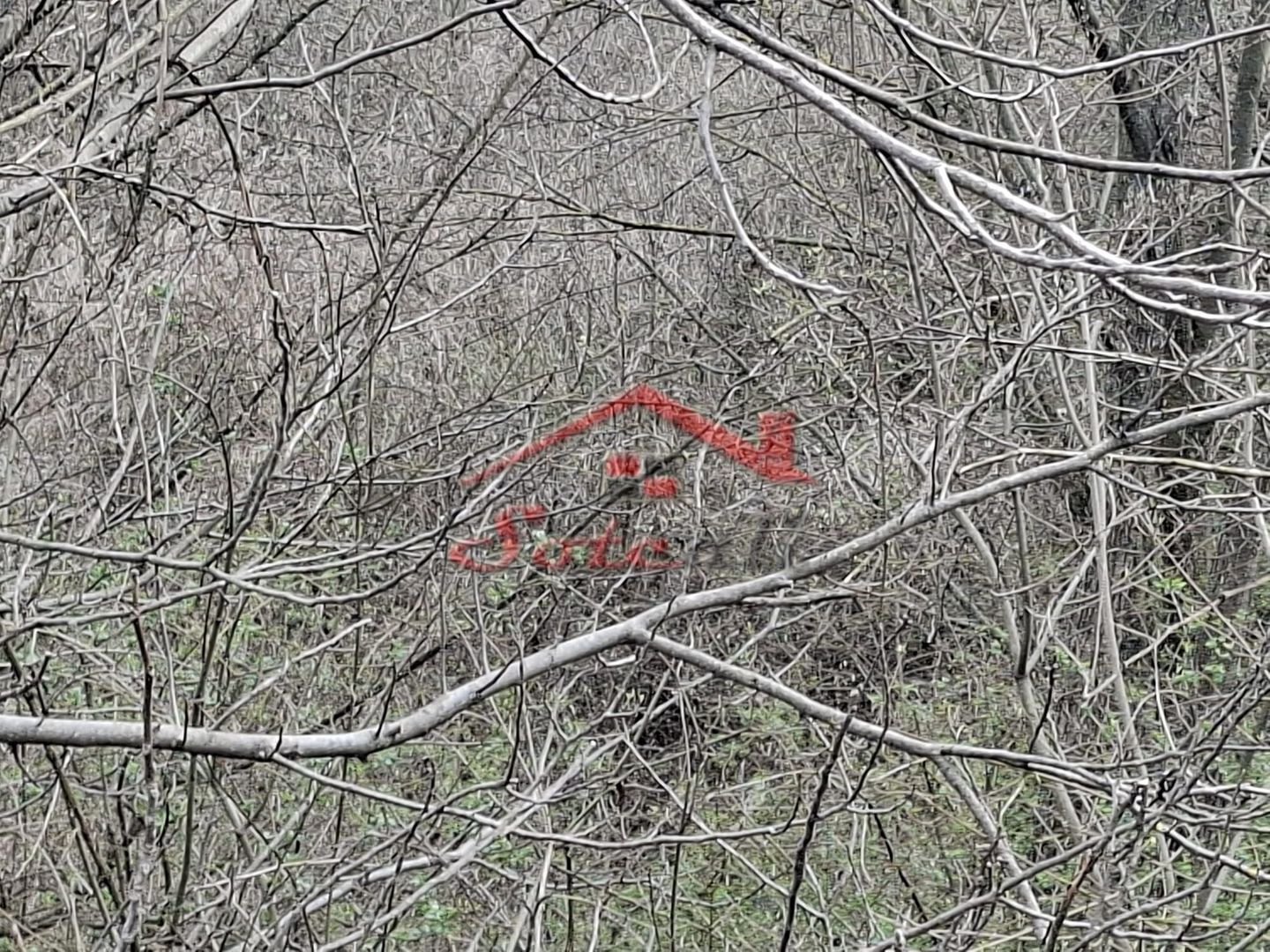 Teren de vanzare Cornu de Jos - Poză 3