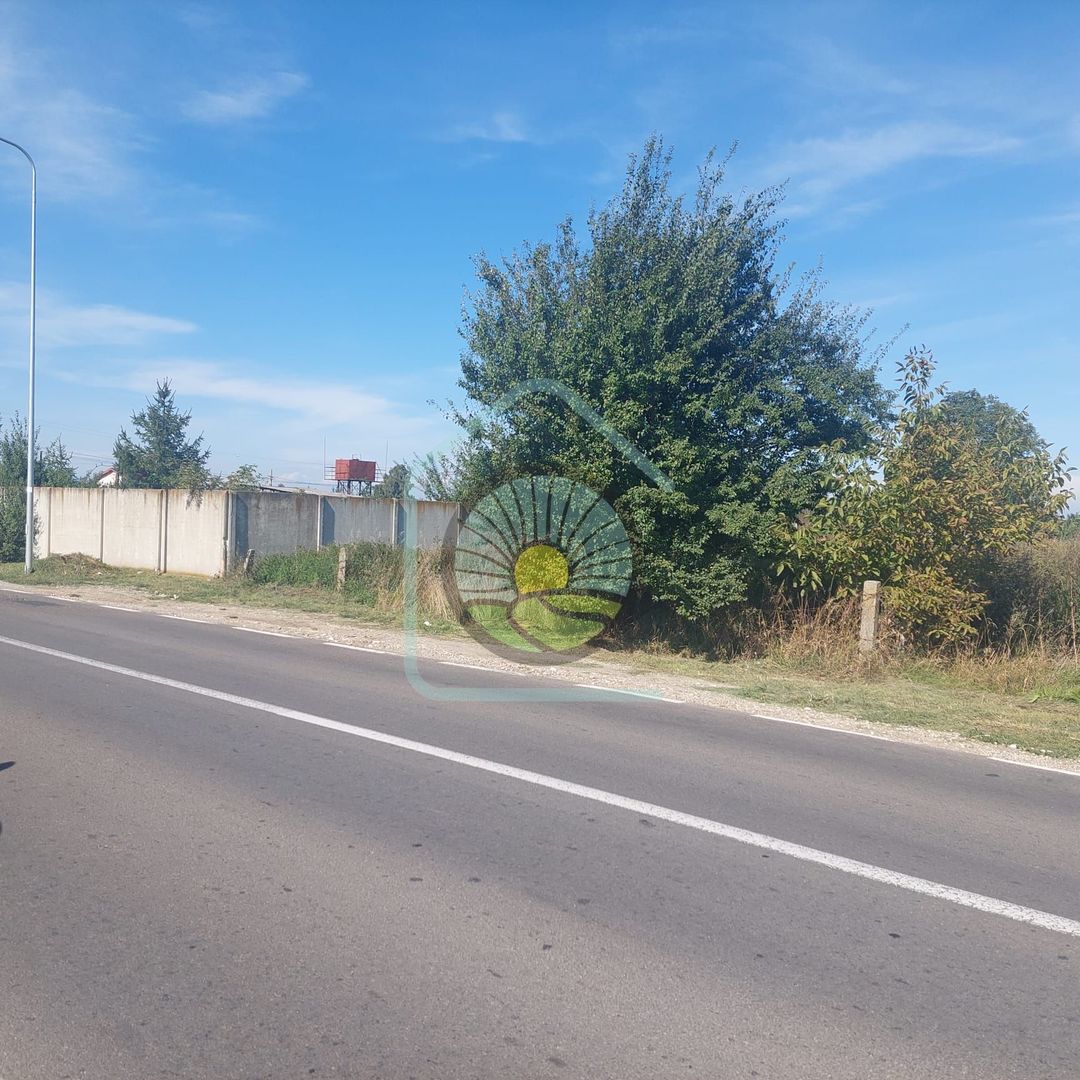 TEREN STUPINI BRASOV - Poză 7