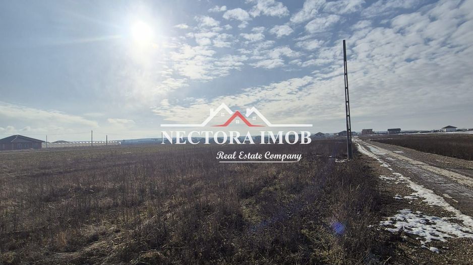 NECTORA IMOB-Teren Intravilan, 500 mp, Front 20ml,Zona CIHEI,Utilitati - Poză 3