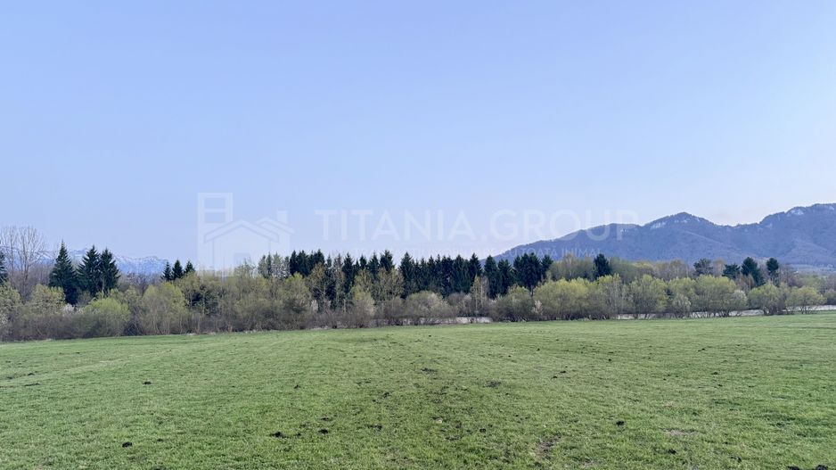 Teren intravilan, 7838 mp, cu priveliște superbă spre munți – Zărnești - Poză 4