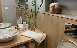 Spatiu de Birouri |  82 mp | Curte 100 mp | Turnisor - Poză 4