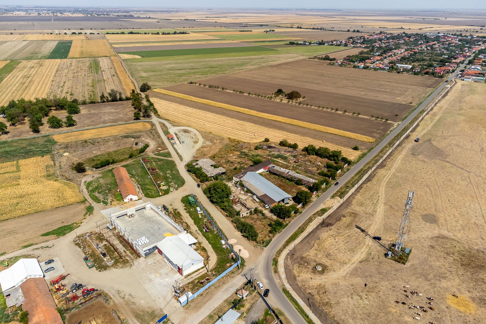 Vânzare teren în Sofronea, Arad - 9508 mp, dezvoltări imobiliare - Poză 7